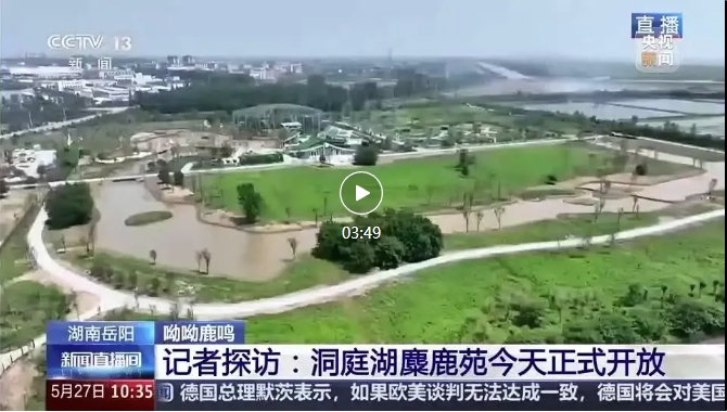 央視報道 | 易大設(shè)計(jì)EPC項(xiàng)目-湖南東洞庭湖麋鹿和鳥類救助避難中心正式開園